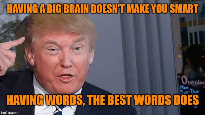 Roll Trump think about it | HAVING A BIG BRAIN DOESN'T MAKE YOU SMART; HAVING WORDS, THE BEST WORDS DOES | image tagged in roll trump think about it | made w/ Imgflip meme maker