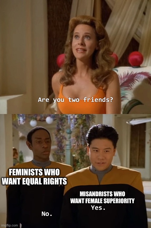 Misandry vs Feminism | FEMINISTS WHO WANT EQUAL RIGHTS; MISANDRISTS WHO WANT FEMALE SUPERIORITY | image tagged in are you two friends | made w/ Imgflip meme maker