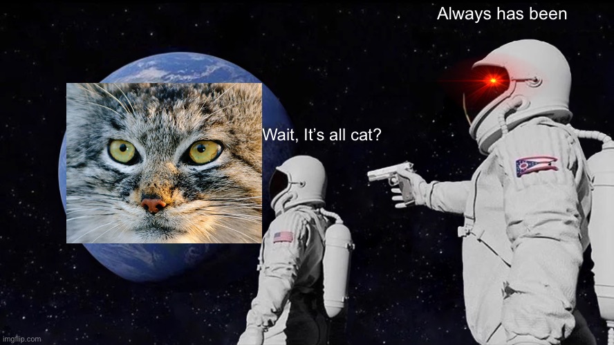 Always has been earth cat | Always has been; Wait, It’s all cat? | image tagged in memes,always has been,i love cats | made w/ Imgflip meme maker