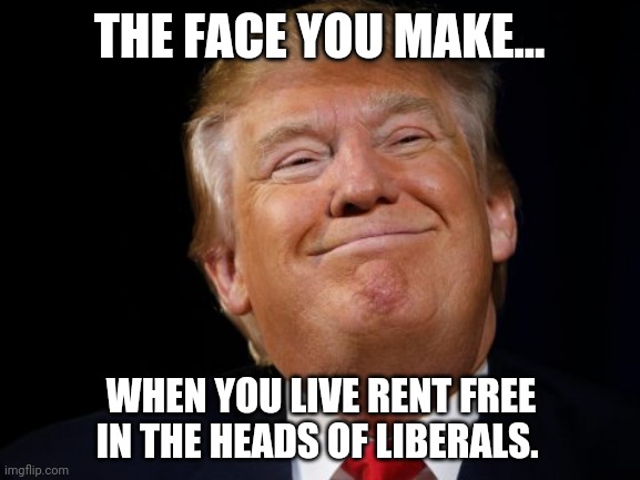 It drives them mad. | THE FACE YOU MAKE... WHEN YOU LIVE RENT FREE IN THE HEADS OF LIBERALS. | image tagged in memes | made w/ Imgflip meme maker