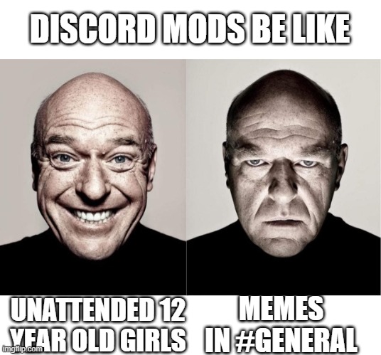 Discord mods be like | DISCORD MODS BE LIKE; MEMES IN #GENERAL; UNATTENDED 12 YEAR OLD GIRLS | image tagged in breaking bad smile frown | made w/ Imgflip meme maker