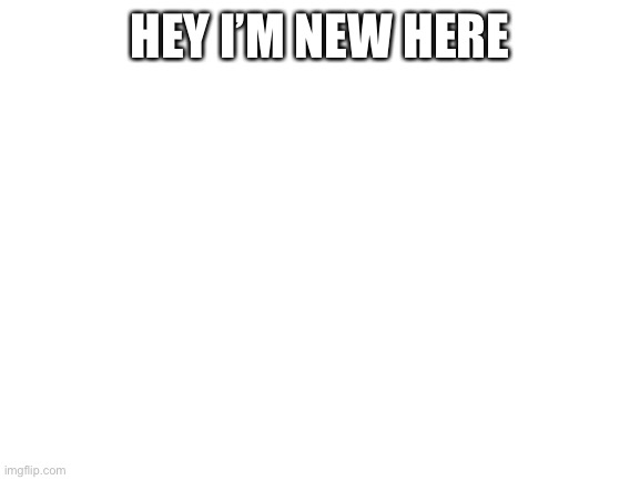 Blank White Template | HEY I’M NEW HERE | image tagged in blank white template | made w/ Imgflip meme maker