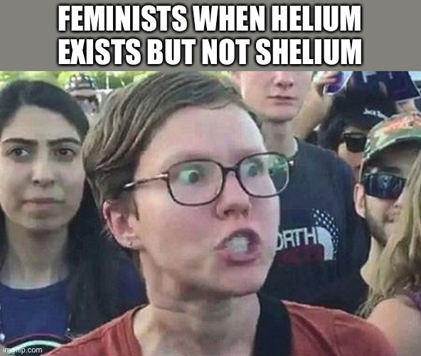 ​ | FEMINISTS WHEN HELIUM EXISTS BUT NOT SHELIUM | image tagged in triggered liberal | made w/ Imgflip meme maker