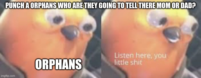 am i right? | PUNCH A ORPHANS WHO ARE THEY GOING TO TELL THERE MOM OR DAD? ORPHANS | image tagged in listen here you little shit bird | made w/ Imgflip meme maker