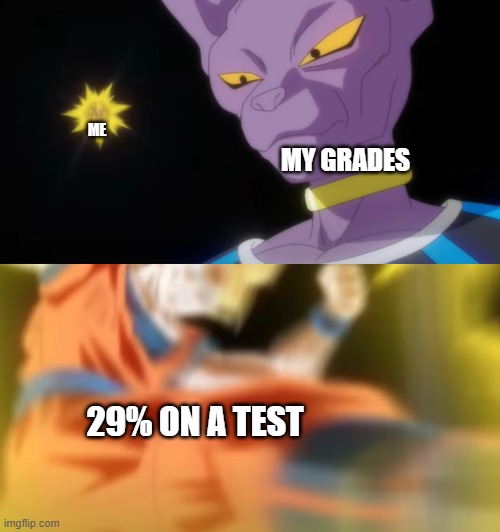 miss | ME; MY GRADES; 29% ON A TEST | image tagged in miss | made w/ Imgflip meme maker