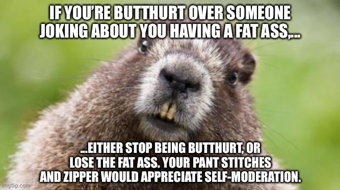 Jeez, stop being butthurt over fat jokes. | IF YOU’RE BUTTHURT OVER SOMEONE JOKING ABOUT YOU HAVING A FAT ASS,... ...EITHER STOP BEING BUTTHURT, OR LOSE THE FAT ASS. YOUR PANT STITCHES AND ZIPPER WOULD APPRECIATE SELF-MODERATION. | image tagged in mr beaver,memes,fat,jokes,butthurt,offend | made w/ Imgflip meme maker