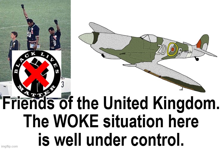 British Resolve | Friends of the United Kingdom.
The WOKE situation here
is well under control. | image tagged in spit | made w/ Imgflip meme maker