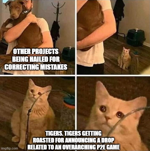 Tiger Society | OTHER PROJECTS BEING HAILED FOR CORRECTING MISTAKES; TIGERS. TIGERS GETTING ROASTED FOR ANNOUNCING A DROP RELATED TO AN OVERARCHING P2E GAME | image tagged in ignored cat | made w/ Imgflip meme maker
