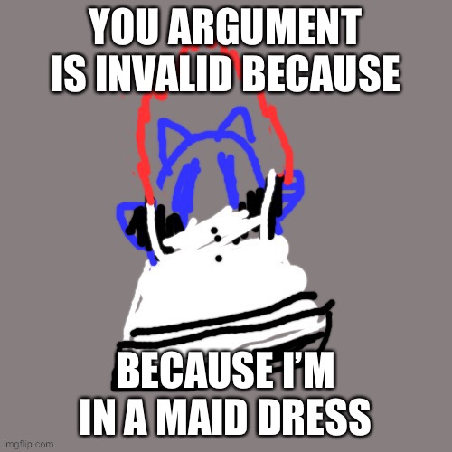 Maid dress soul, *don’t do any h9rny shit* | YOU ARGUMENT IS INVALID BECAUSE; BECAUSE I’M IN A MAID DRESS | image tagged in maid soul | made w/ Imgflip meme maker