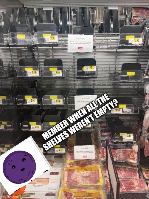 They’re going to starve us. |  MEMBER WHEN ALL THE SHELVES WEREN’T EMPTY? | image tagged in member berries,shortage | made w/ Imgflip meme maker