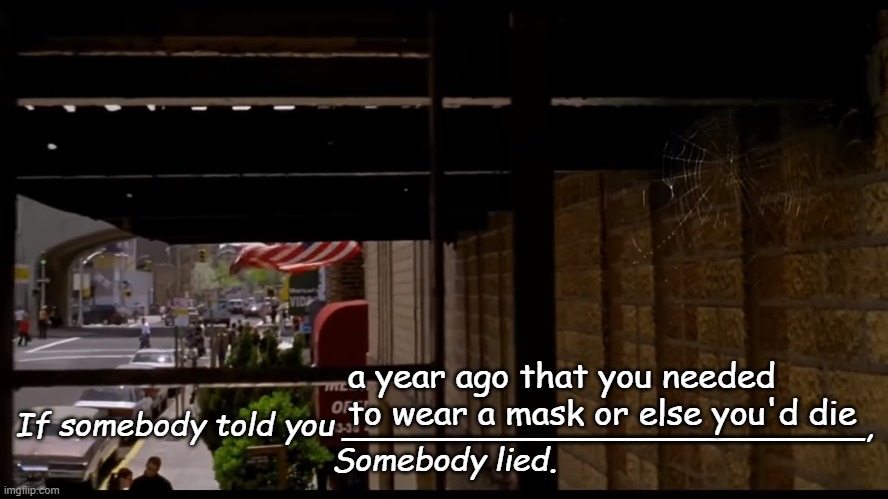 Spider-Man (2002) Somebody lied | a year ago that you needed to wear a mask or else you'd die | image tagged in spider-man 2002 somebody lied,face mask,karen,covidiots,fraud,memes | made w/ Imgflip meme maker