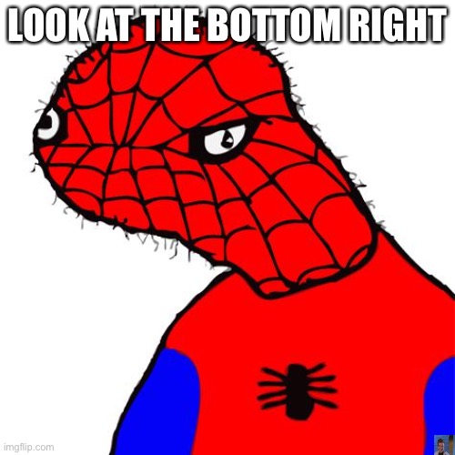 Hunoeduhnveeokhvnreoihncerfoihcbfruh | LOOK AT THE BOTTOM RIGHT | image tagged in black spodermen,not a trick | made w/ Imgflip meme maker