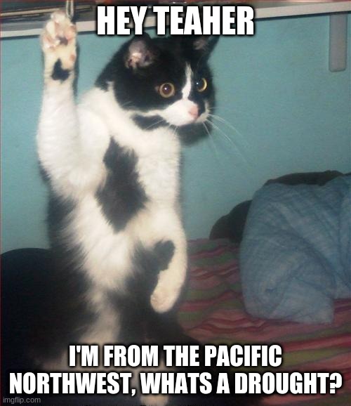 what is dry? | HEY TEAHER; I'M FROM THE PACIFIC NORTHWEST, WHATS A DROUGHT? | image tagged in question cat | made w/ Imgflip meme maker