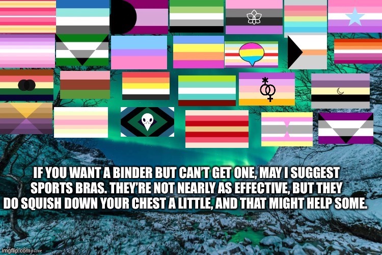 IF YOU WANT A BINDER BUT CAN’T GET ONE, MAY I SUGGEST SPORTS BRAS. THEY’RE NOT NEARLY AS EFFECTIVE, BUT THEY DO SQUISH DOWN YOUR CHEST A LITTLE, AND THAT MIGHT HELP SOME. | made w/ Imgflip meme maker