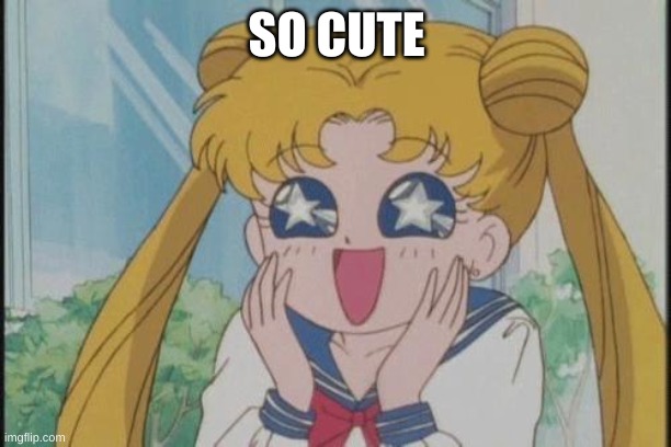 Sailor Moon Sparkly Eyes | SO CUTE | image tagged in sailor moon sparkly eyes | made w/ Imgflip meme maker