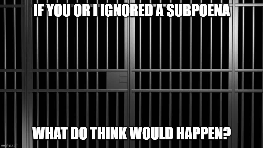 jail cell bars | IF YOU OR I IGNORED A SUBPOENA; WHAT DO THINK WOULD HAPPEN? | image tagged in jail cell bars | made w/ Imgflip meme maker