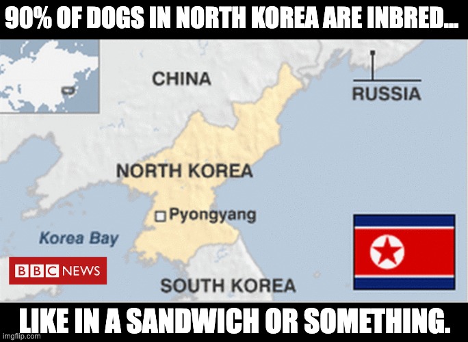 Inbred | 90% OF DOGS IN NORTH KOREA ARE INBRED…; LIKE IN A SANDWICH OR SOMETHING. | image tagged in bad pun | made w/ Imgflip meme maker