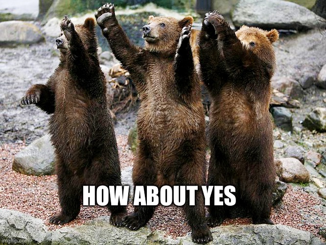 bears – how about yes | HOW ABOUT YES | image tagged in bears how about yes | made w/ Imgflip meme maker