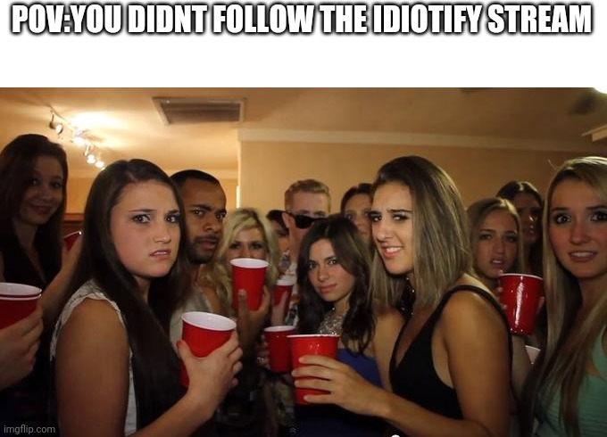 btw idiotify was my old account before i deleted it | POV:YOU DIDNT FOLLOW THE IDIOTIFY STREAM | image tagged in party girls looking at you pov | made w/ Imgflip meme maker