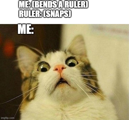 Bending a ruler | ME: (BENDS A RULER)
RULER: (SNAPS); ME: | image tagged in memes,scared cat | made w/ Imgflip meme maker