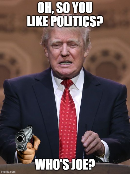 Donald Trump | OH, SO YOU LIKE POLITICS? WHO'S JOE? | image tagged in donald trump | made w/ Imgflip meme maker