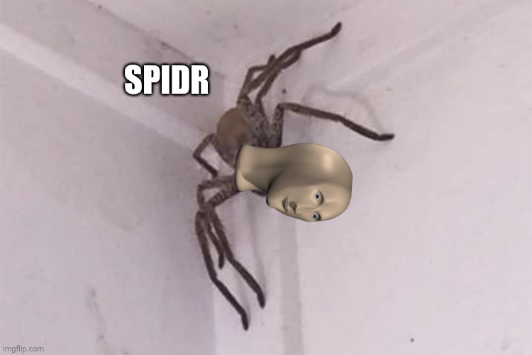 SPIDR | image tagged in spidet | made w/ Imgflip meme maker