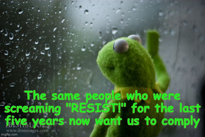 kermit window | The same people who were screaming "RESIST!" for the last five years now want us to comply | image tagged in kermit window | made w/ Imgflip meme maker