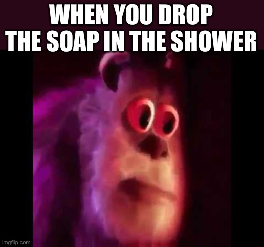 Idk if this will be disapproved | WHEN YOU DROP THE SOAP IN THE SHOWER | image tagged in sully groan | made w/ Imgflip meme maker