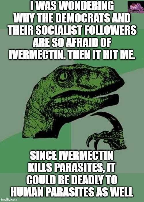 We just don't know. | I WAS WONDERING WHY THE DEMOCRATS AND THEIR SOCIALIST FOLLOWERS ARE SO AFRAID OF IVERMECTIN. THEN IT HIT ME. SINCE IVERMECTIN KILLS PARASITES, IT COULD BE DEADLY TO HUMAN PARASITES AS WELL | image tagged in memes,philosoraptor | made w/ Imgflip meme maker