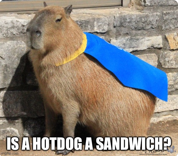 IS A HOTDOG A SANDWICH? | made w/ Imgflip meme maker