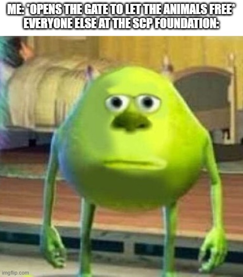 SCP meme | ME: *OPENS THE GATE TO LET THE ANIMALS FREE*
EVERYONE ELSE AT THE SCP FOUNDATION: | image tagged in mike wasowski sully face swap | made w/ Imgflip meme maker