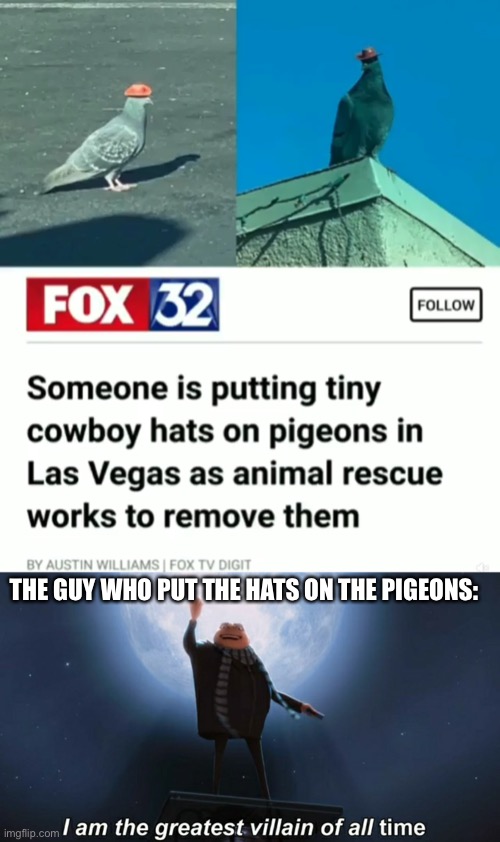 Yez vary eevil | THE GUY WHO PUT THE HATS ON THE PIGEONS: | image tagged in i am the greatest villain of all time | made w/ Imgflip meme maker