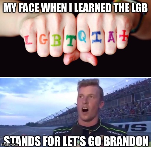 Today years old | MY FACE WHEN I LEARNED THE LGB; STANDS FOR LET’S GO BRANDON | image tagged in joe biden,this is not okie dokie,you mad bro,politics | made w/ Imgflip meme maker