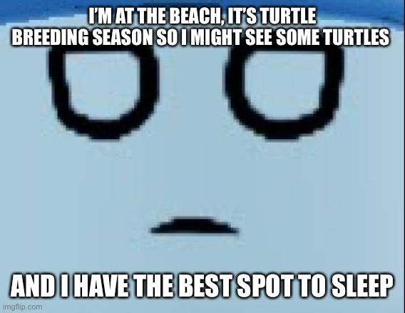 Up in a bunk bed, has a little shelf, in a corner, has a outlet with 2 plugs and it has a lamp in the wall | I’M AT THE BEACH, IT’S TURTLE BREEDING SEASON SO I MIGHT SEE SOME TURTLES; AND I HAVE THE BEST SPOT TO SLEEP | image tagged in conscript face | made w/ Imgflip meme maker