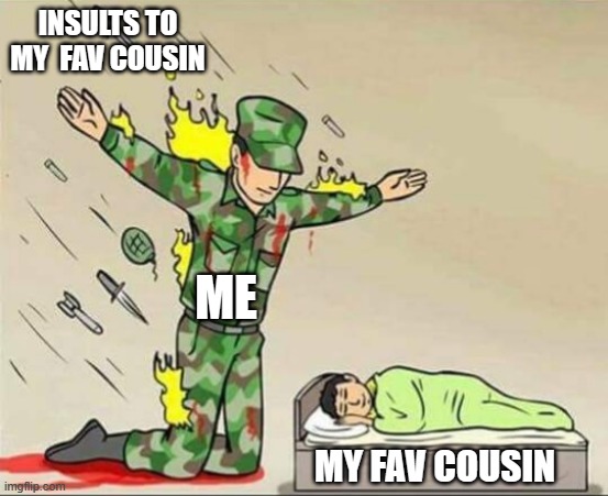 Back off |  INSULTS TO MY  FAV COUSIN; ME; MY FAV COUSIN | image tagged in soldier protecting sleeping child,favorites,cousin,we dont do that here,memes | made w/ Imgflip meme maker