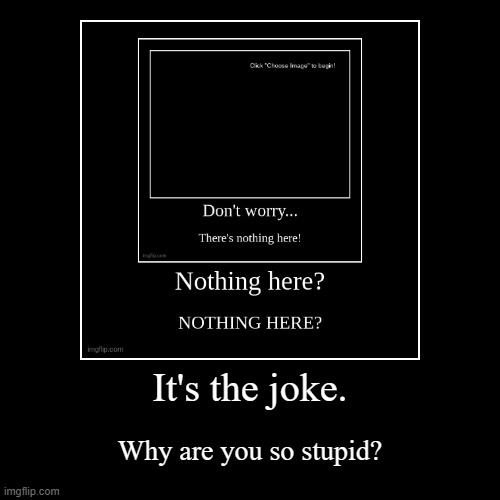 Why are you so stupid? | image tagged in funny,demotivationals | made w/ Imgflip demotivational maker