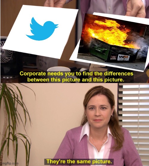 Twitter | image tagged in memes,they're the same picture,funny,twitter | made w/ Imgflip meme maker