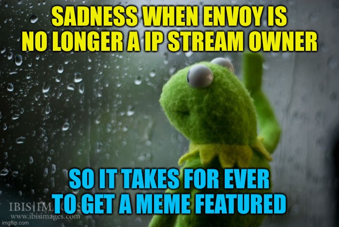 Hopefully rup gets the boot and a more active party runs the stream | SADNESS WHEN ENVOY IS NO LONGER A IP STREAM OWNER; SO IT TAKES FOR EVER TO GET A MEME FEATURED | image tagged in kermit window | made w/ Imgflip meme maker
