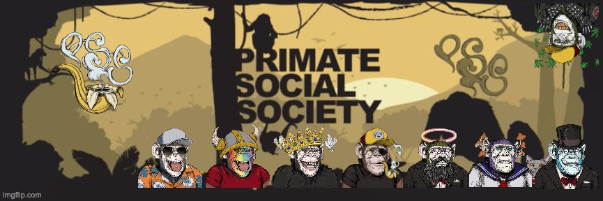 Primate Social Society | image tagged in ape,apes,apes together strong | made w/ Imgflip meme maker
