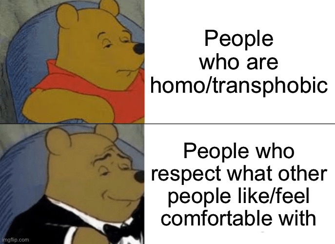 This applies to every sexuality | People who are homo/transphobic; People who respect what other people like/feel comfortable with | image tagged in memes,tuxedo winnie the pooh | made w/ Imgflip meme maker