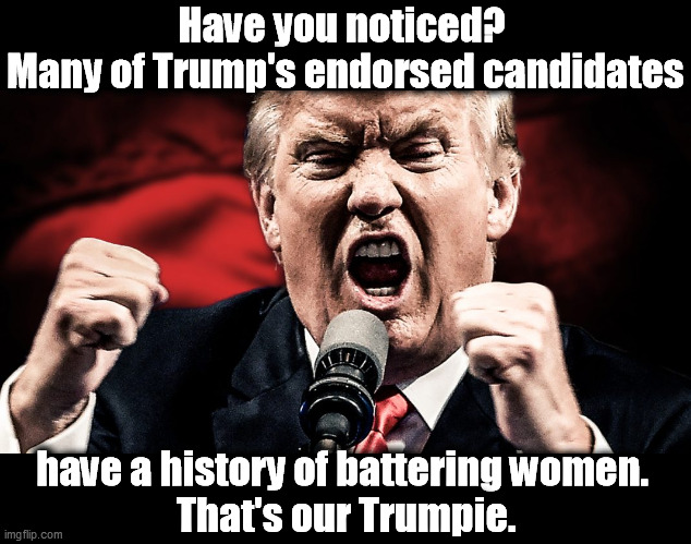 Trump only ever talks about himself. | Have you noticed? 
Many of Trump's endorsed candidates; have a history of battering women. 
That's our Trumpie. | image tagged in trump angry at the microphone,trump,candidates,abuse,women | made w/ Imgflip meme maker