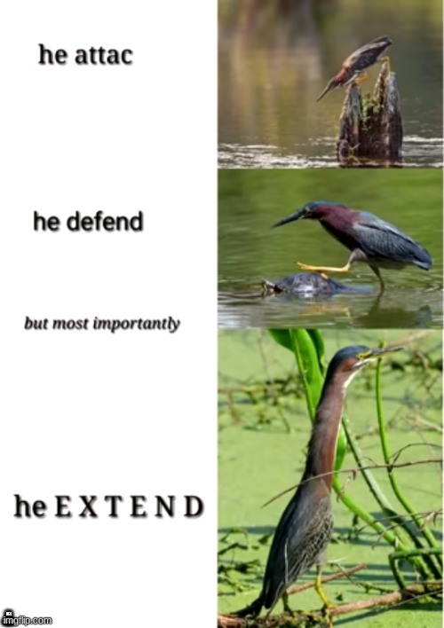 i made this for absolutely no reason | he attac; HE DEFEND; BUT MOST IMPORTANTLY; HE E X T E N D | image tagged in vkfnsh csmrickr | made w/ Imgflip meme maker