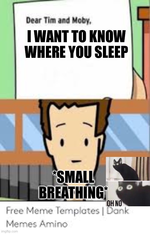 I WANT TO KNOW WHERE YOU SLEEP; *SMALL BREATHING* | image tagged in dear tim and moby | made w/ Imgflip meme maker