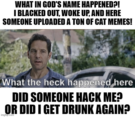 antman what the heck happened here | WHAT IN GOD'S NAME HAPPENED?!
I BLACKED OUT, WOKE UP, AND HERE SOMEONE UPLOADED A TON OF CAT MEMES! DID SOMEONE HACK ME?
OR DID I GET DRUNK AGAIN? | image tagged in antman what the heck happened here | made w/ Imgflip meme maker
