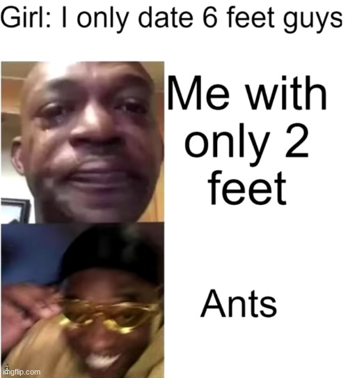 i made this for absolutely no reason | Girl: I only date 6 feet guys; ME WITH ONLY 2 FEET; ANTS | image tagged in jhrcgyre | made w/ Imgflip meme maker