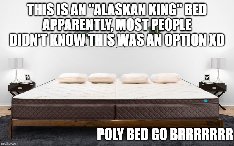 The point of this meme is... I somehow managed to get the whole thing out of the room in one piece WHILE DRUNK! | THIS IS AN "ALASKAN KING" BED
APPARENTLY, MOST PEOPLE DIDN'T KNOW THIS WAS AN OPTION XD; POLY BED GO BRRRRRRR | image tagged in polyamorous,memes,lgbtq,drunk,wtf,how | made w/ Imgflip meme maker
