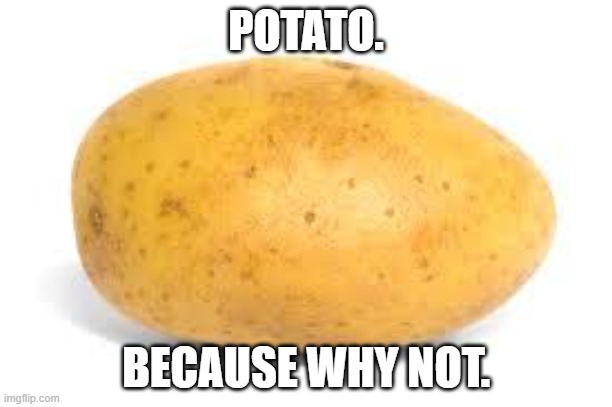 Potato. | POTATO. BECAUSE WHY NOT. | image tagged in potato,yes this is an irish joke | made w/ Imgflip meme maker