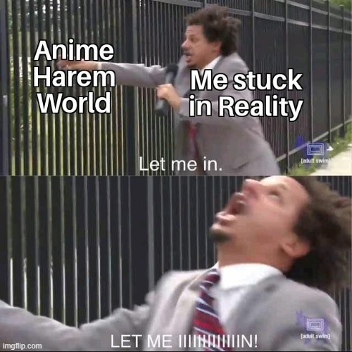 let me innnnn | image tagged in anime,fence aka border wall,official claim a waifu pass,senpai notice me,hentai,much wow | made w/ Imgflip meme maker