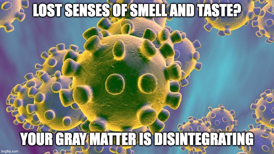 Coronavirus | LOST SENSES OF SMELL AND TASTE? YOUR GRAY MATTER IS DISINTEGRATING | image tagged in coronavirus | made w/ Imgflip meme maker