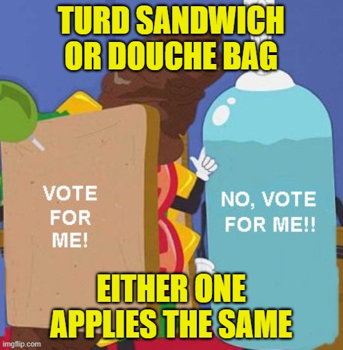 turd sandwich | TURD SANDWICH OR DOUCHE BAG EITHER ONE APPLIES THE SAME | image tagged in turd sandwich | made w/ Imgflip meme maker